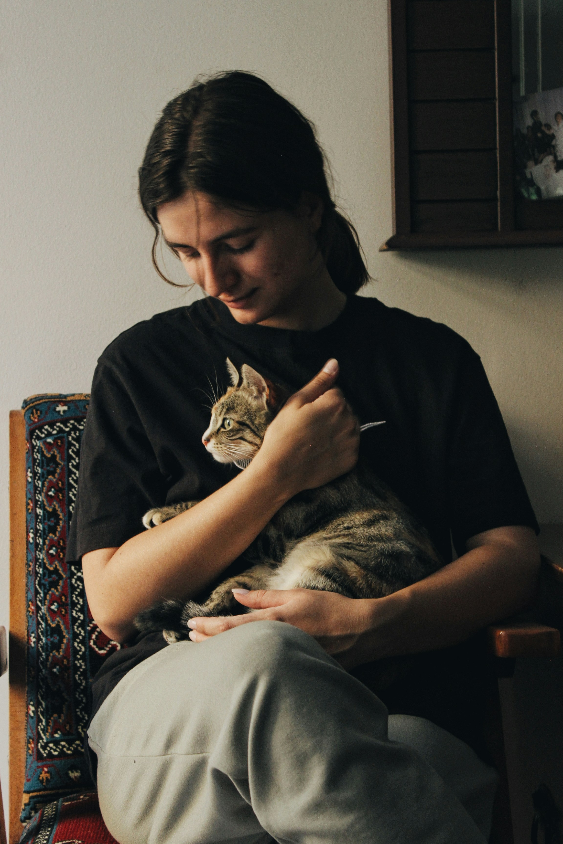 Person relaxing at home with a cat on their lap, soft natural afternoon light