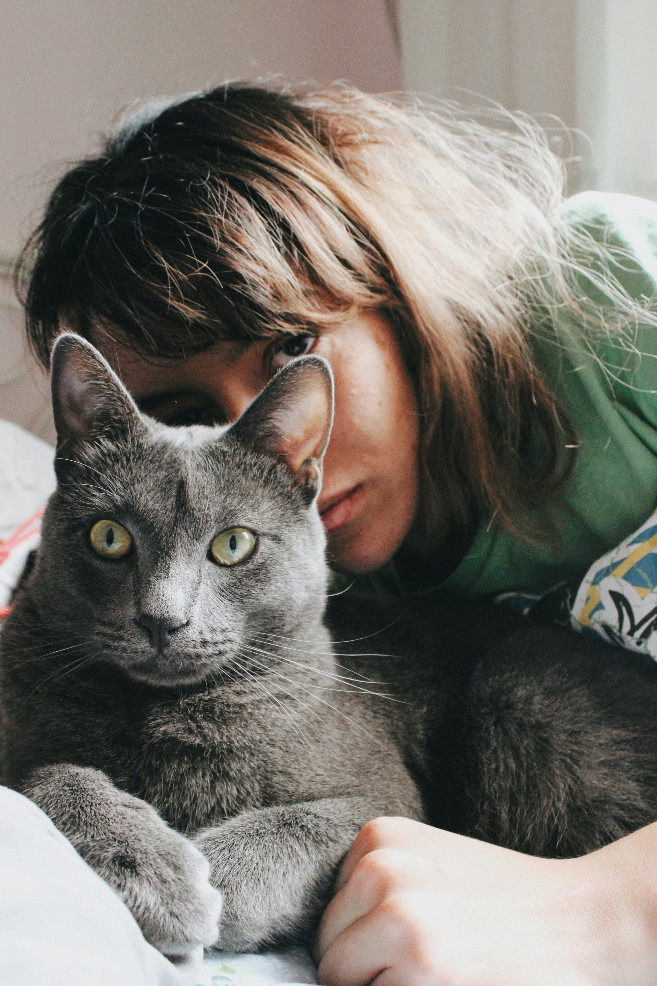 Cat portrait in relaxed indoor setting, soft natural light